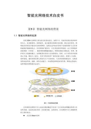 智能光网络技术白皮书(华为)