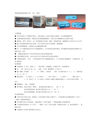 智能化温度控制仪TCW