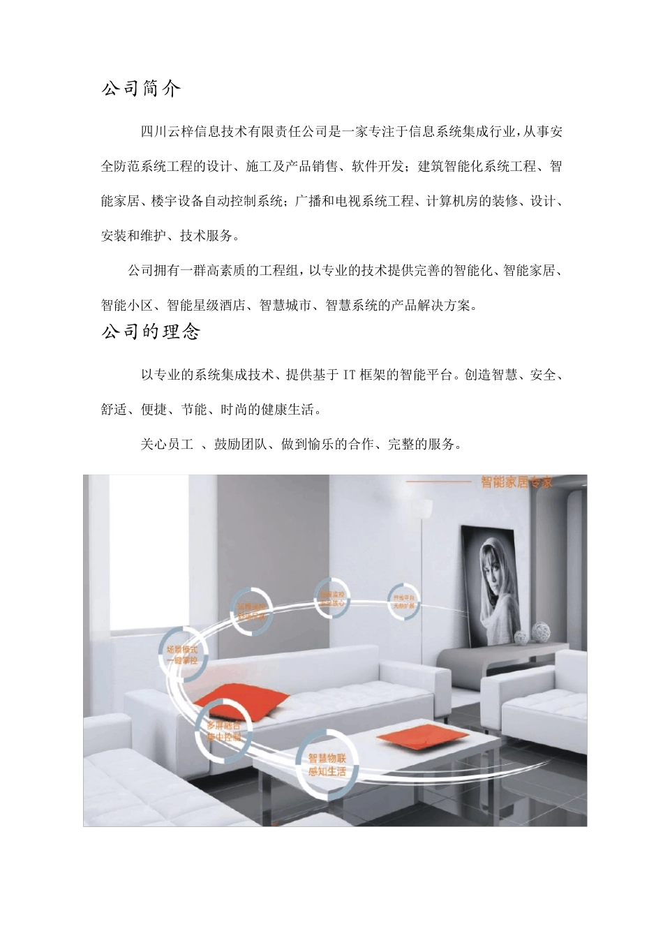 智能家居宣传资料_第2页