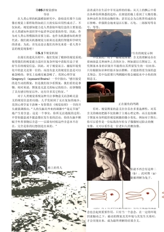 智能科学技术导论周乐昌第05讲视觉感知