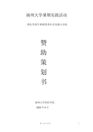 暑期实践小分队赞助策划书