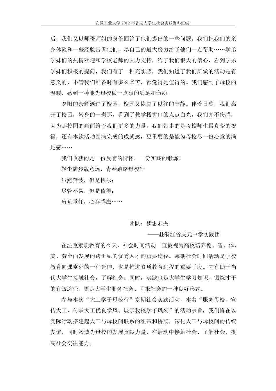 暑期社会实践团队及个人报告、日志、调研报告模板(共参考)_第2页
