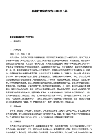 暑期社会实践报告3000字五篇