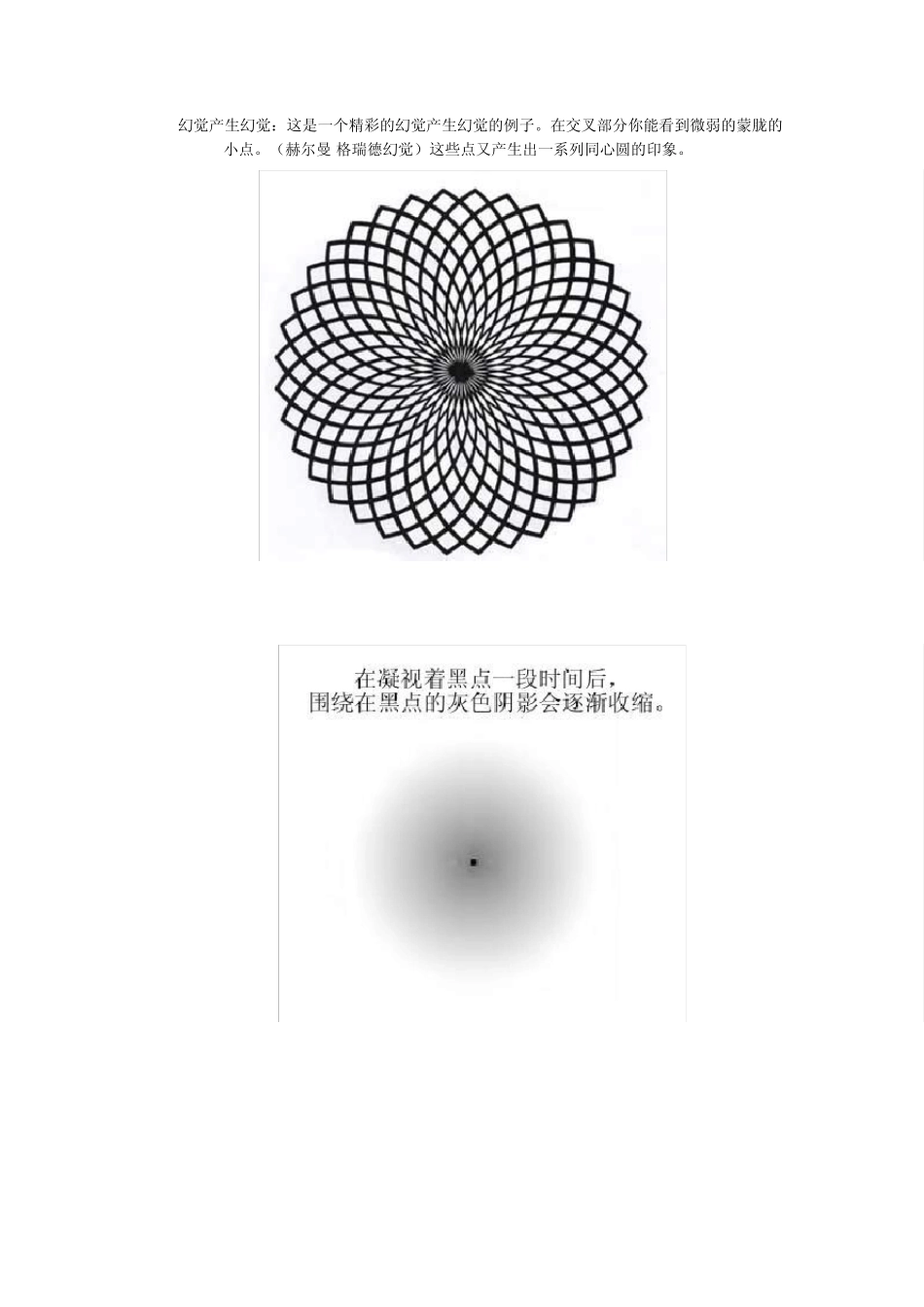 曲线幻觉的视觉艺术_第3页