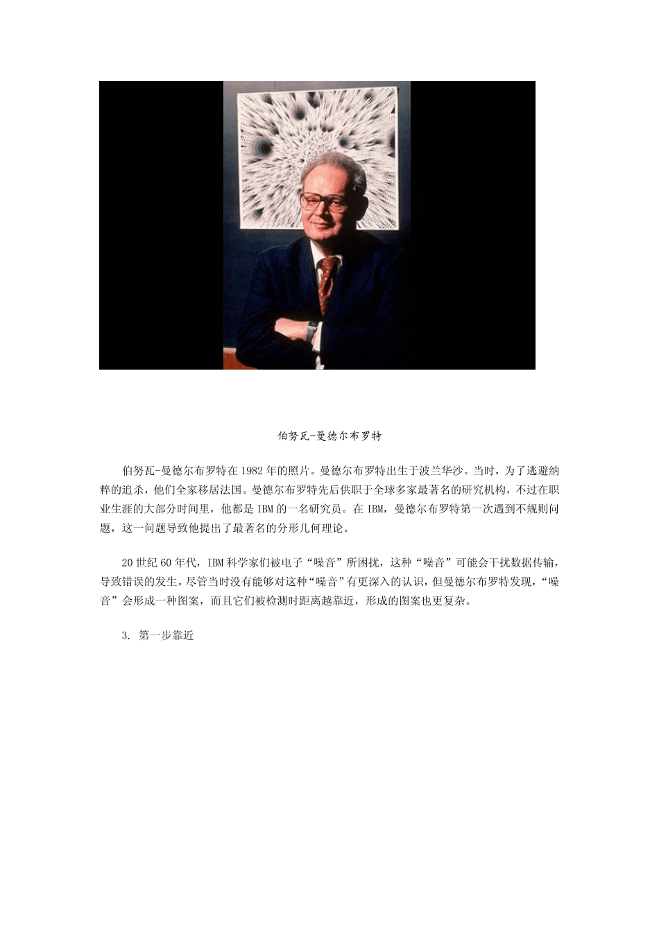 曼德尔布罗特奇妙的分形几何_第2页