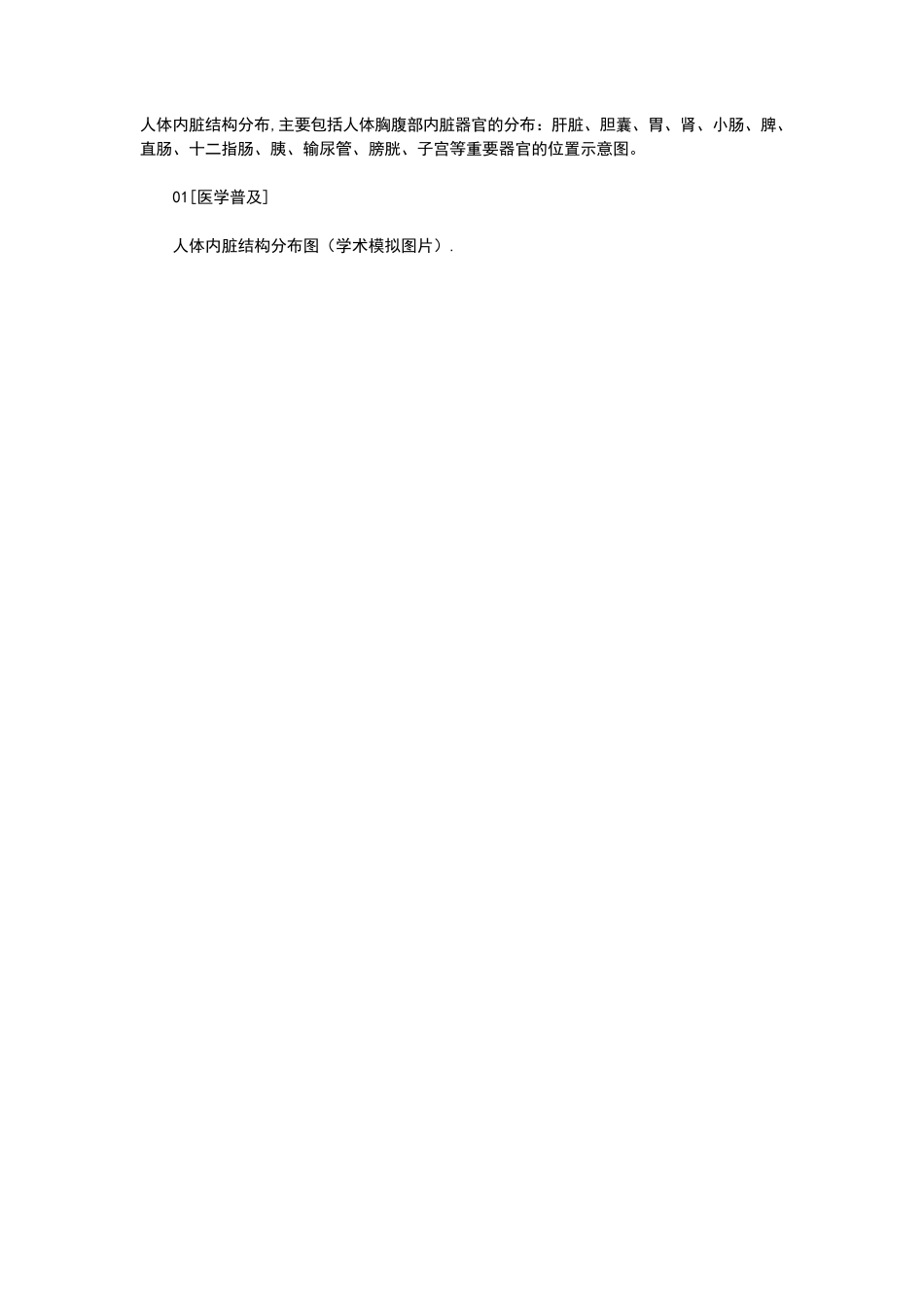 最全人体内脏结构图(医学图谱)_第1页