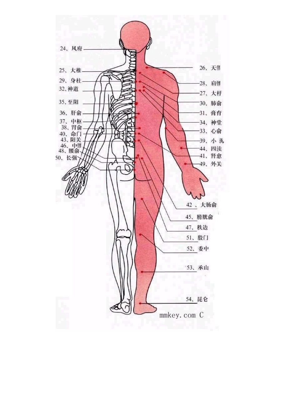 最全人体穴位图及常见病按摩手法(带图)_第3页