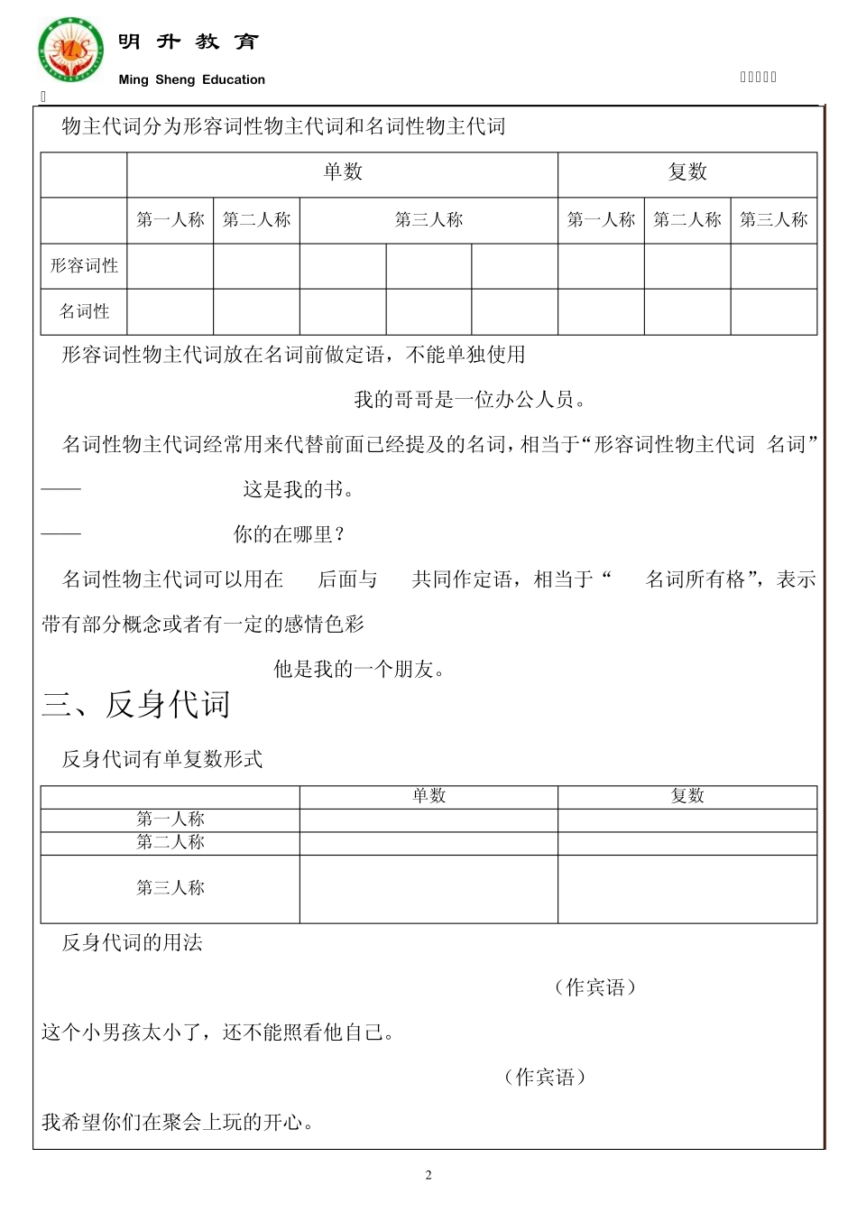 最全代词知识点梳理_第2页