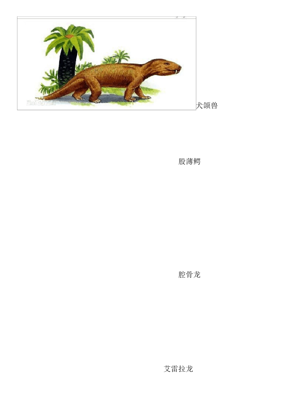 最全恐龙名字以及图片_第1页
