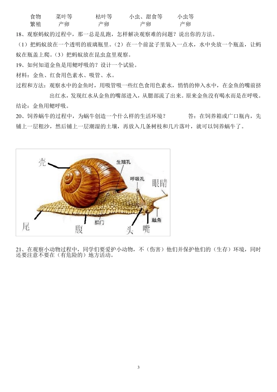 最全的人教版三年级科学知识要点精心整理_第3页