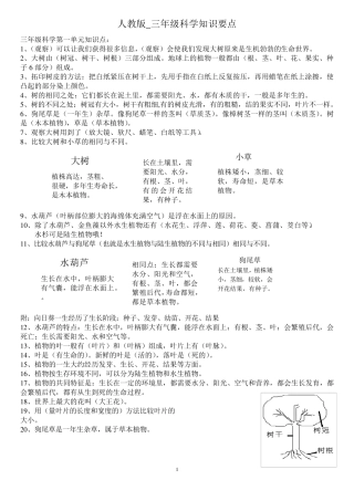 最全的人教版三年级科学知识要点精心整理
