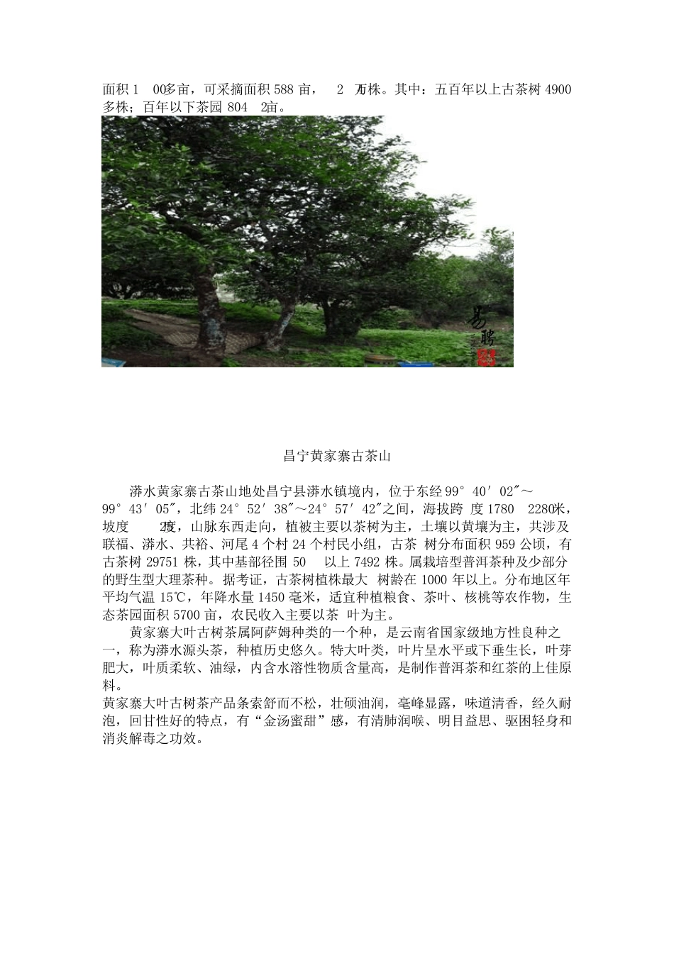 最全的古树茶资料云南20个古树茶名山介绍_第2页