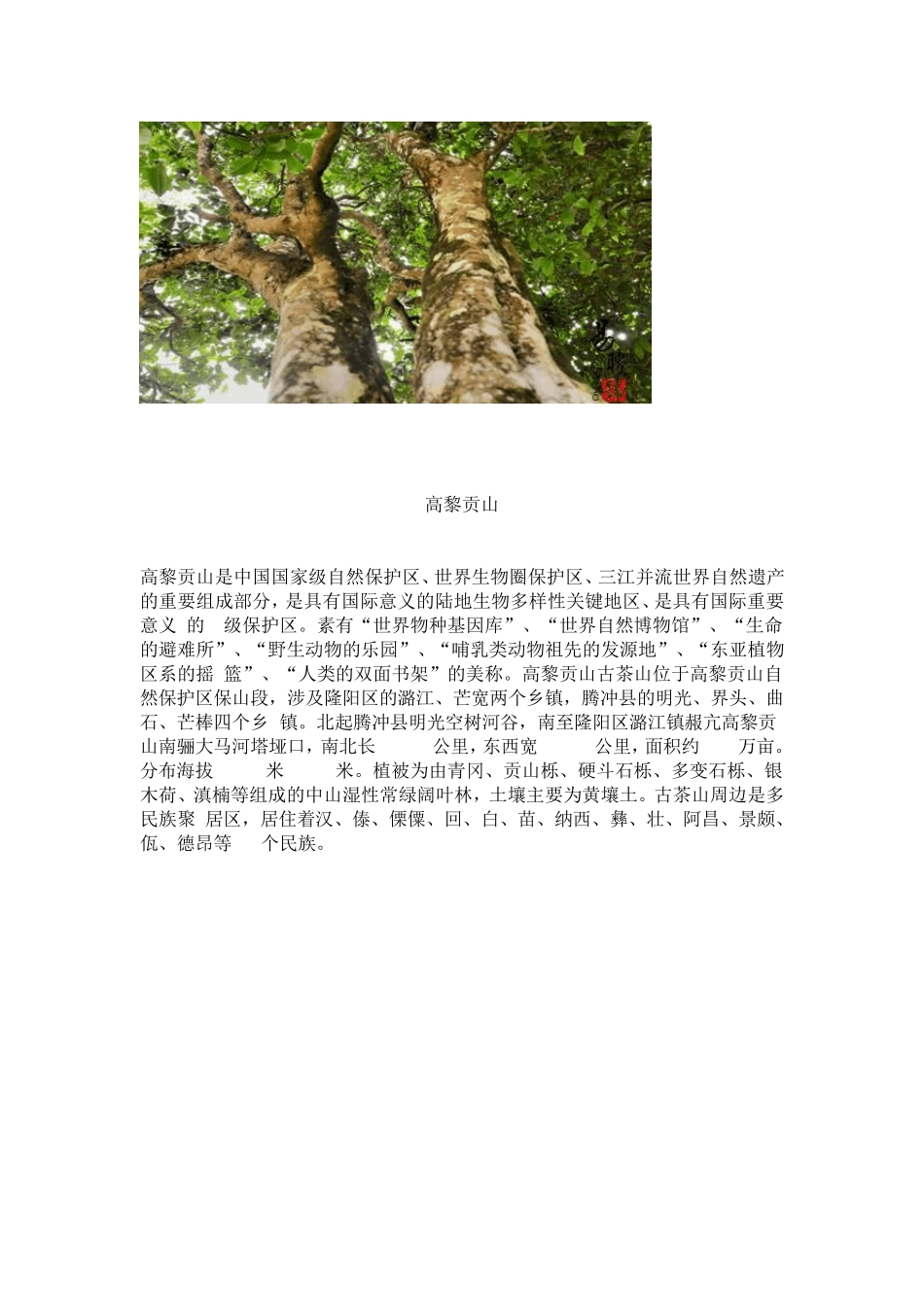 最全的古树茶资料云南20个古树茶名山介绍_第3页