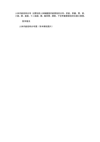 最全的好的人体的清晰内脏图