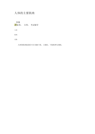 最全运动肌肉解剖