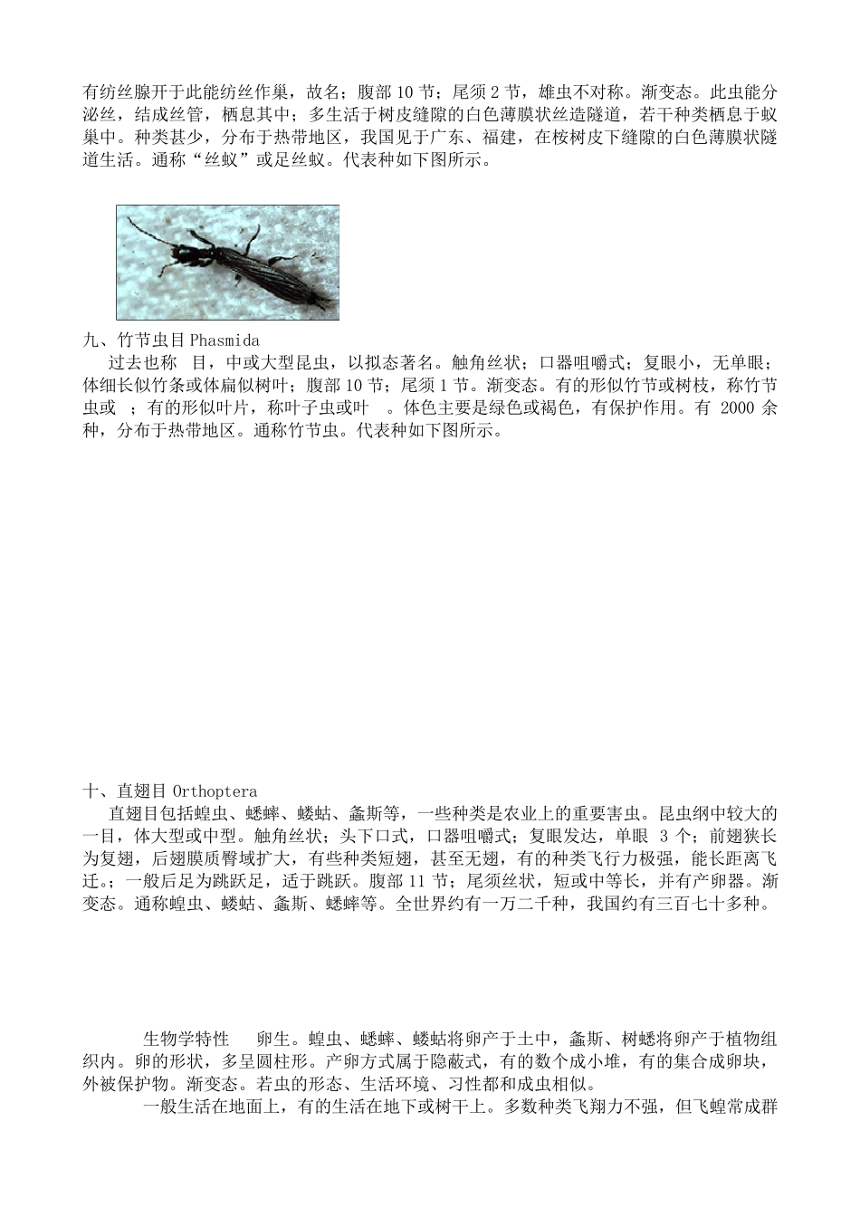 最全面的昆虫纲各目和主要科的识别特征_第3页