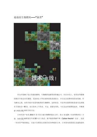 最强的生物燃料—“藻类”