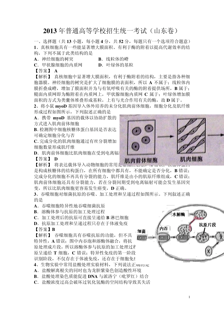 最新2013山东高考理综真题生物部分答案及解析_第1页
