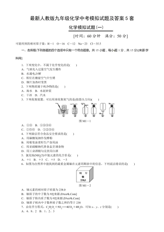 最新人教版九年级化学中考模拟试题及答案5套