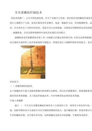 最新全光雾嫩枝扦插技术