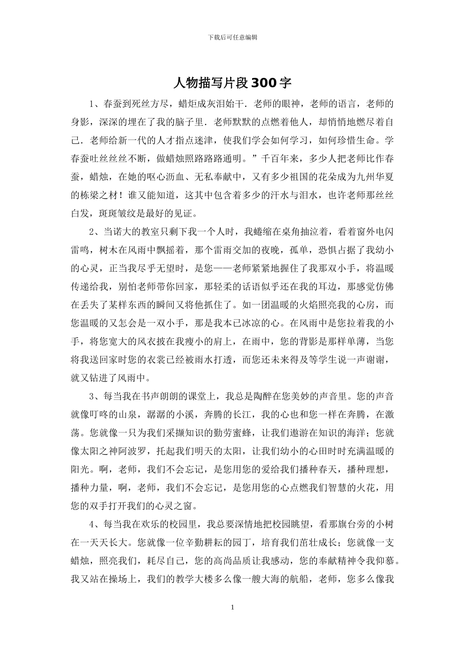 人物描写片段300字_第1页
