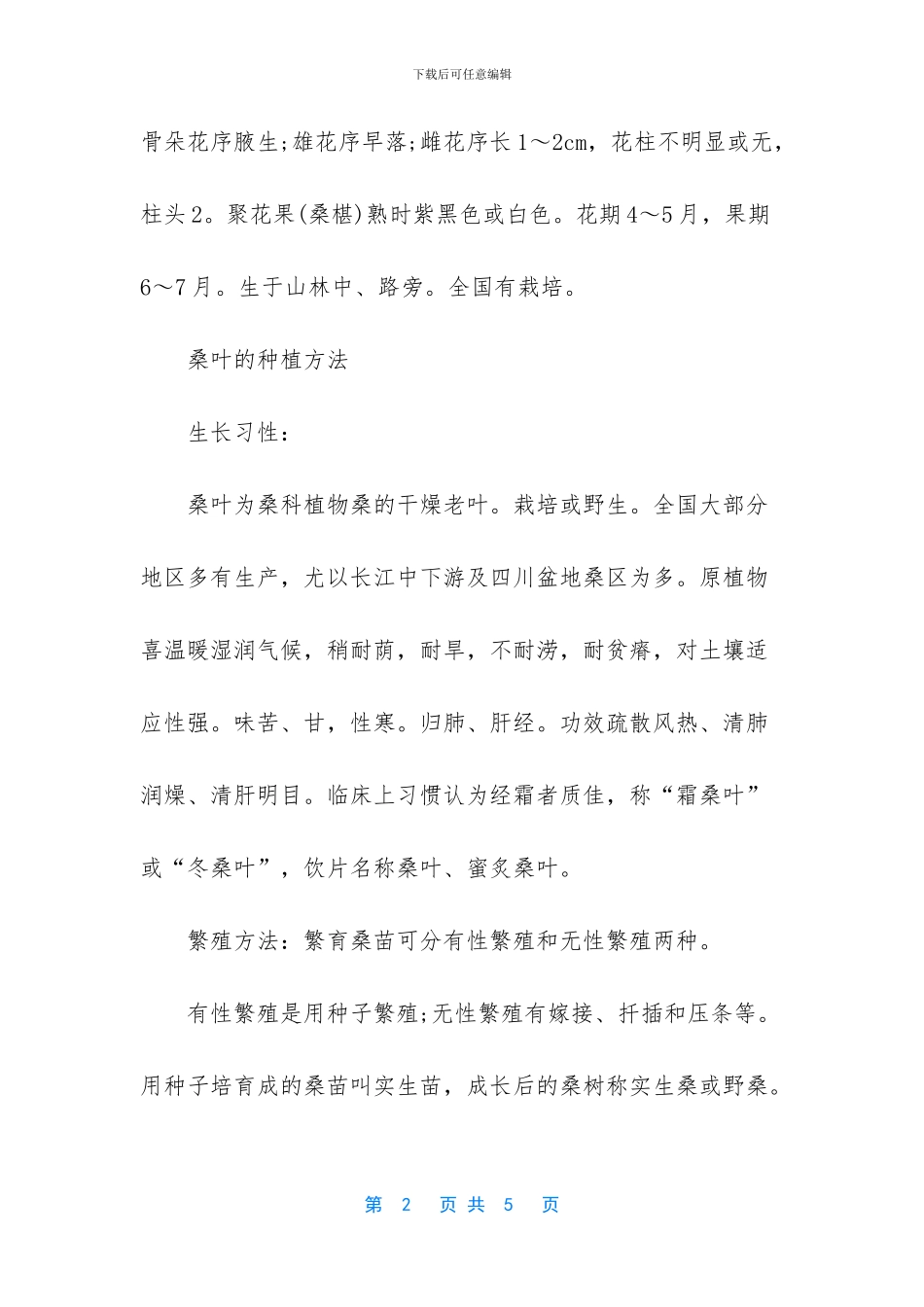 什么时候种植桑叶_第2页