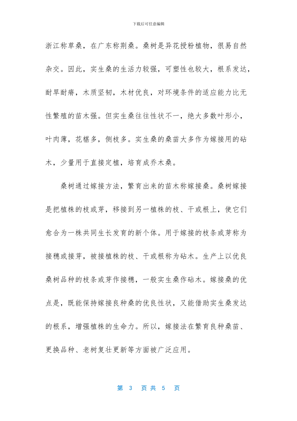 什么时候种植桑叶_第3页