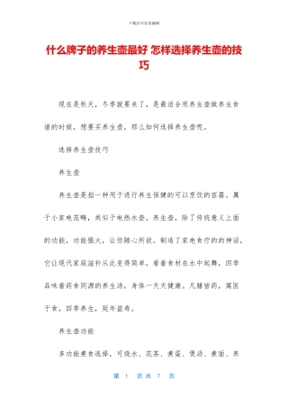 什么牌子的养生壶最好