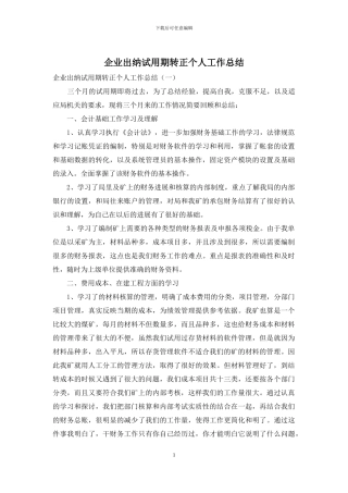 企业出纳试用期转正个人工作总结