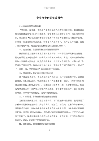 企业自查自纠整改报告