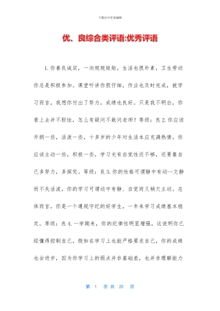 优、良综合类评语