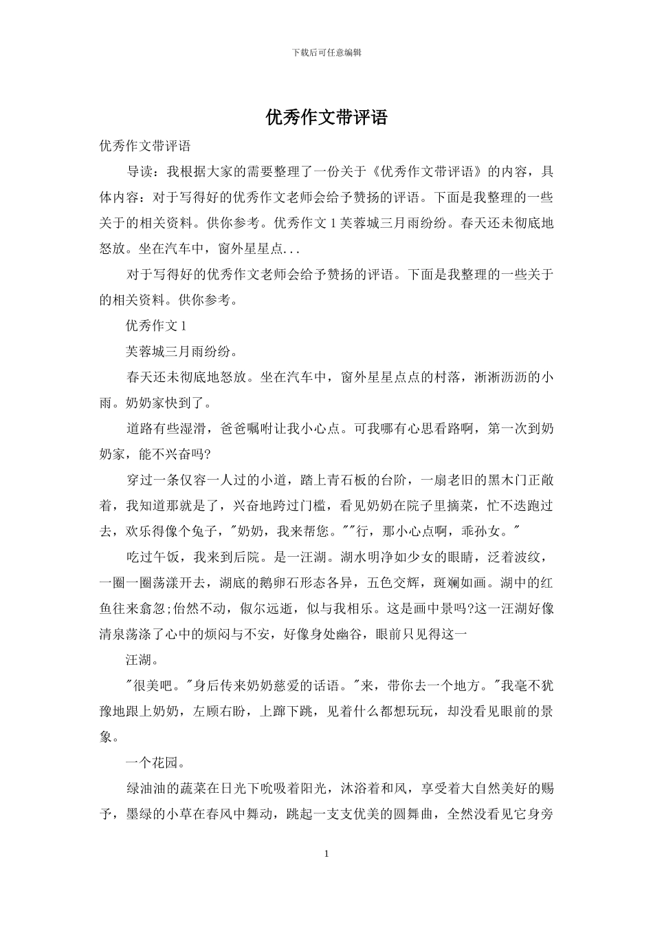 优秀作文带评语_第1页