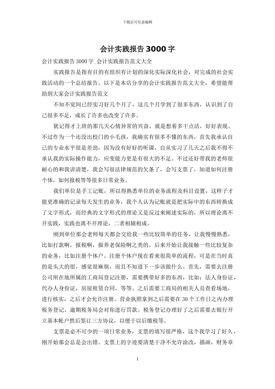 会计实践报告3000字_第1页