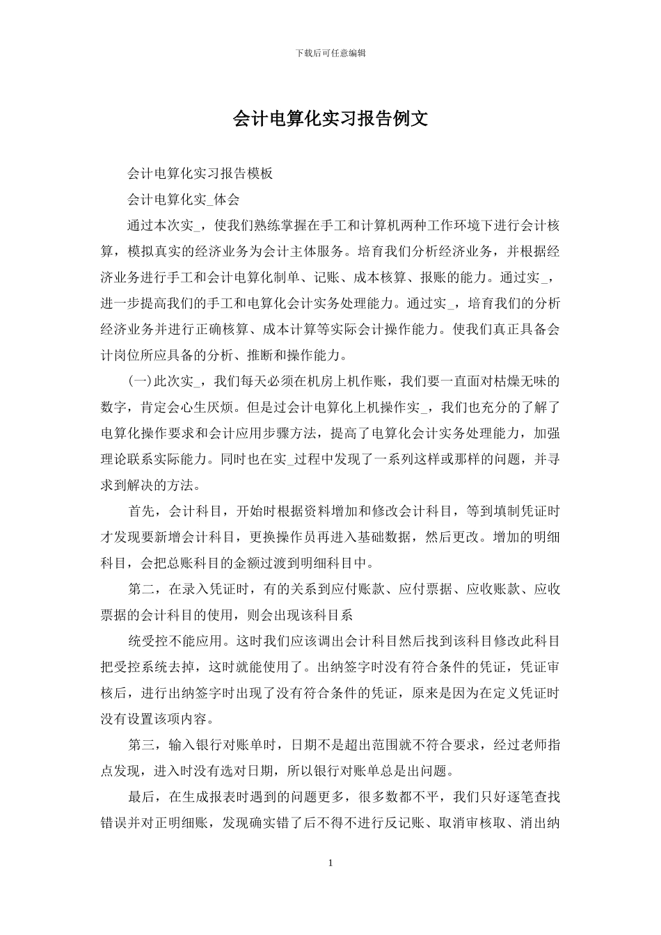 会计电算化实习报告例文_第1页