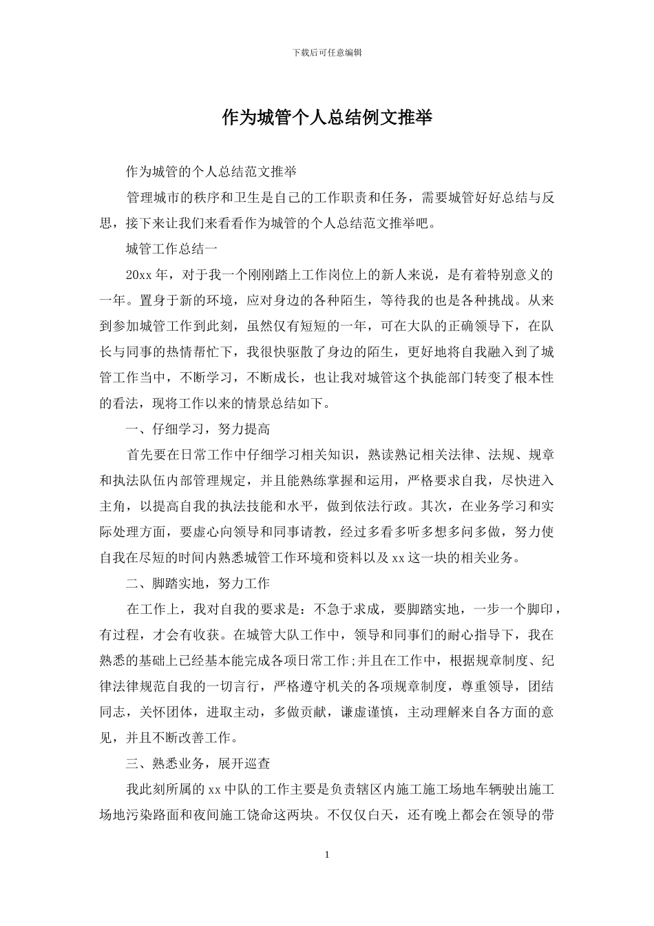 作为城管个人总结例文推荐_第1页