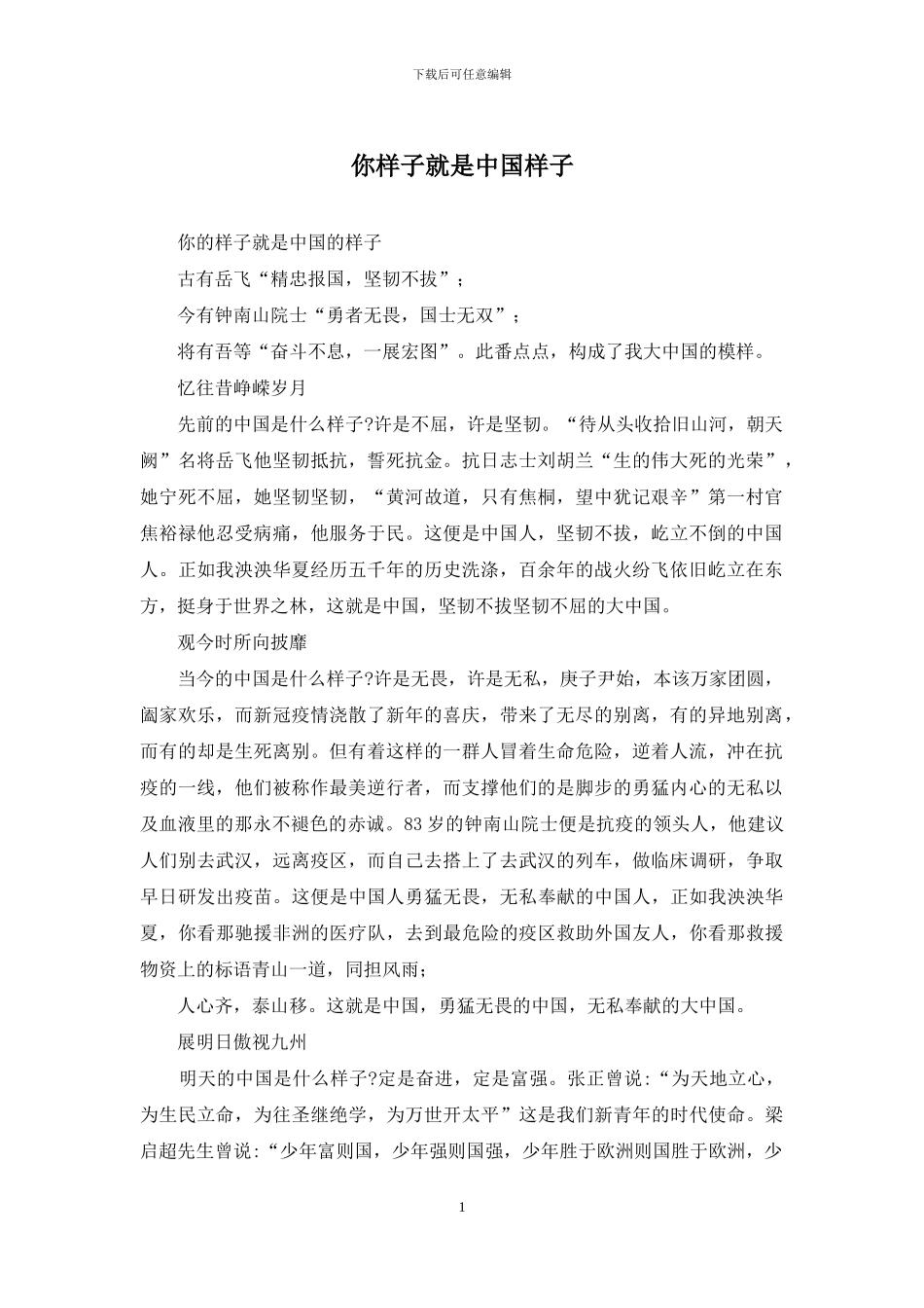 你样子就是中国样子_第1页