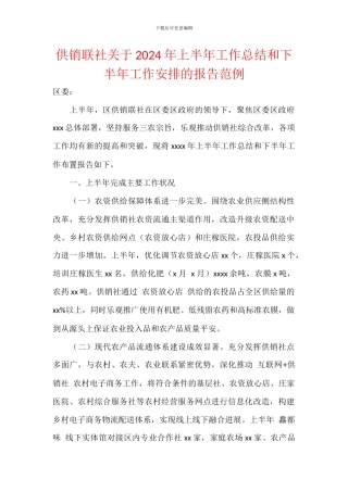 供销联社关于2024年上半年工作总结和下半年工作安排的报告范例