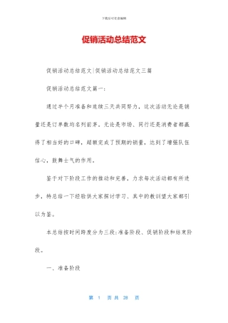 促销活动总结范文