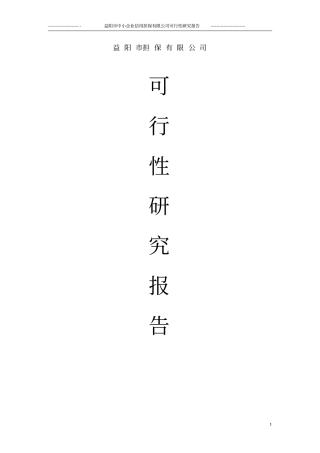 融资性担保公司可行性研究报告