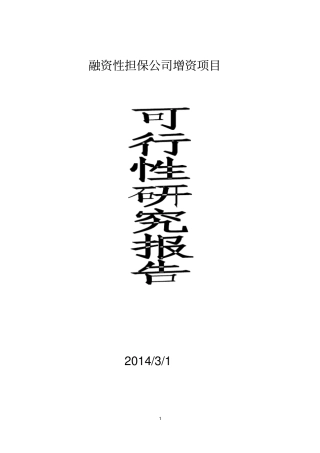 融资性担保公司增资项目可行性研究报告
