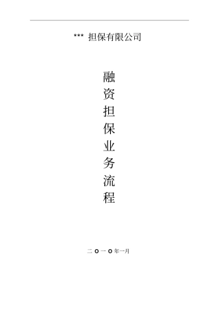 融资担保业务流程详细
