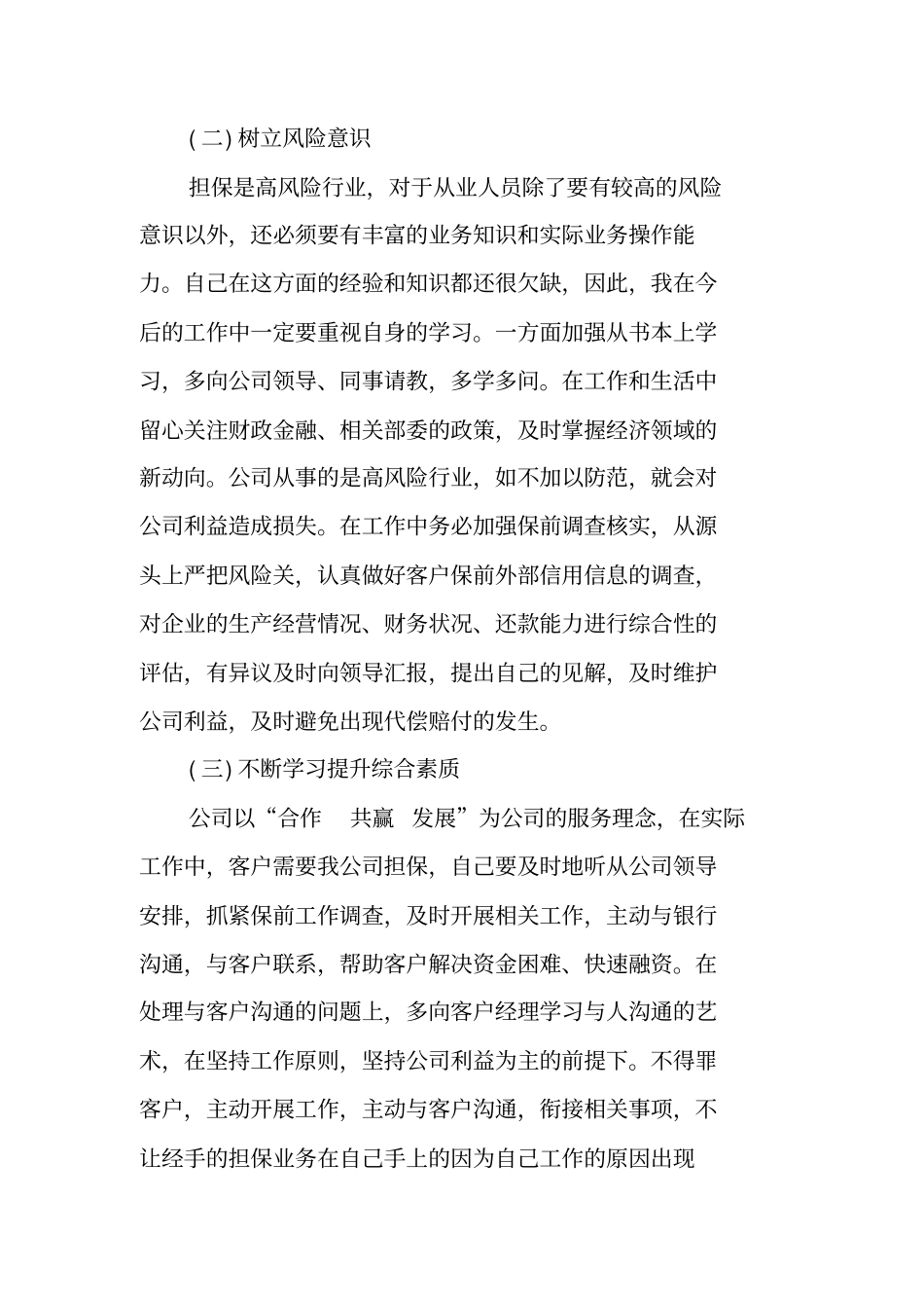 融资担保公司工作总结20XX_第2页