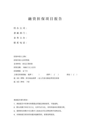 融资担保项目分析报告范例