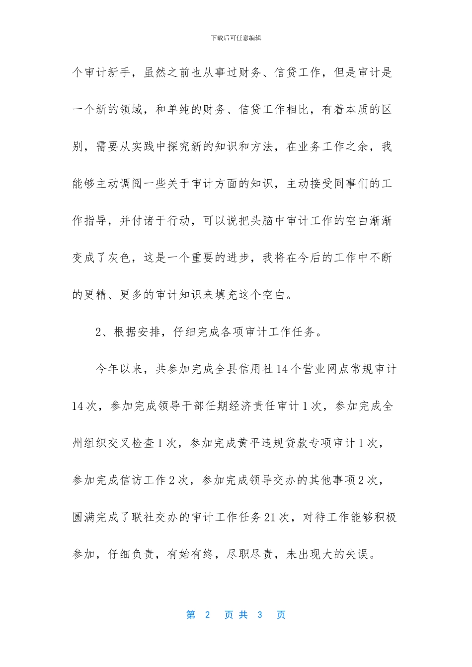 信用社审计员个人工作总结_第2页
