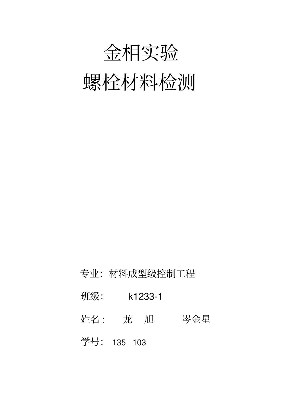 螺栓材质检测金相报告_第1页