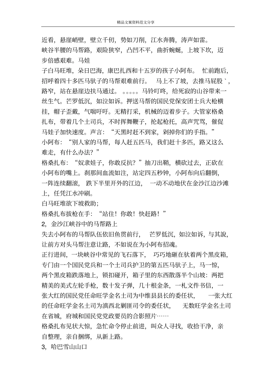 血战金沙江-精品文案范文_第2页