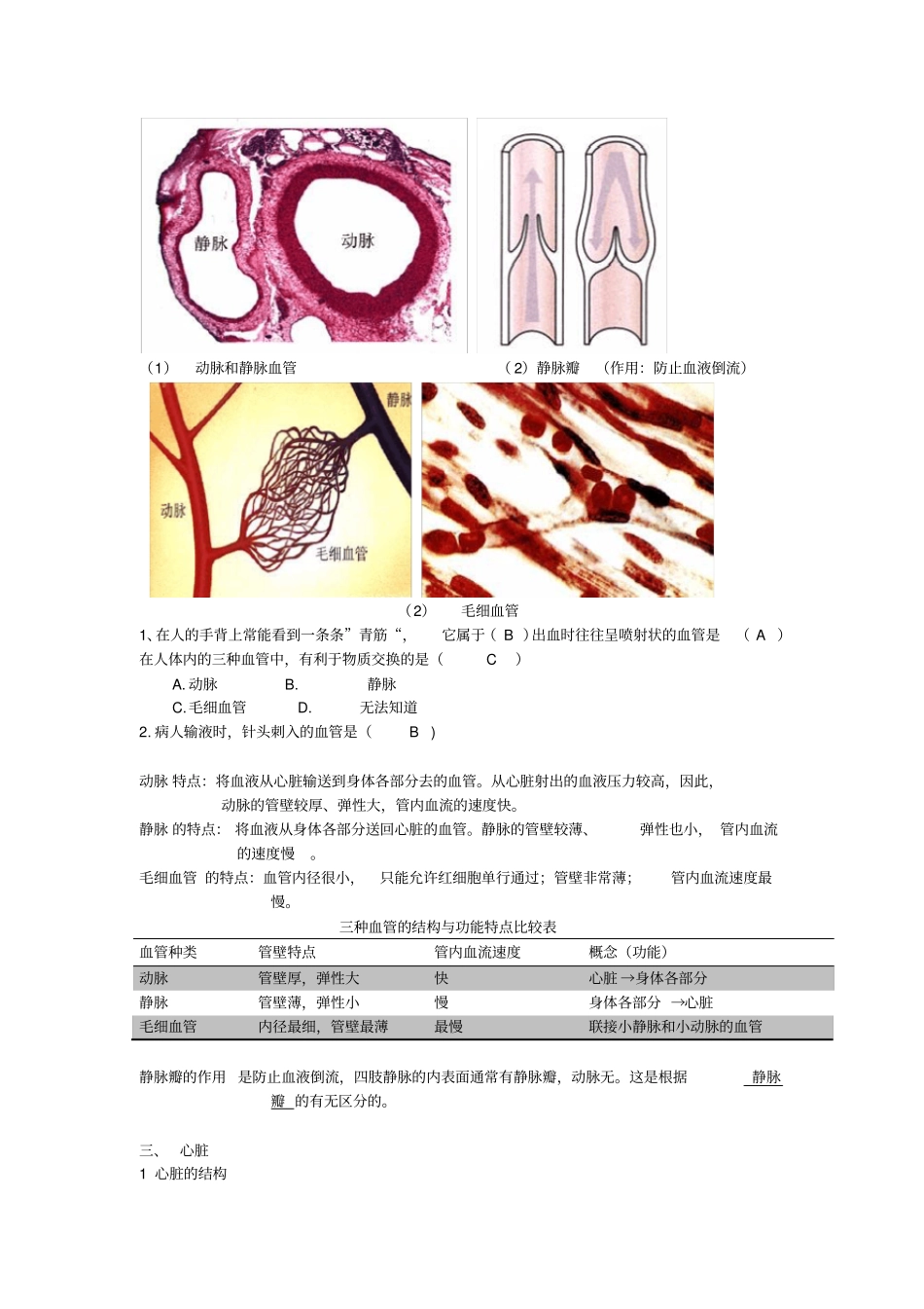 血液循环生物知识点_第2页