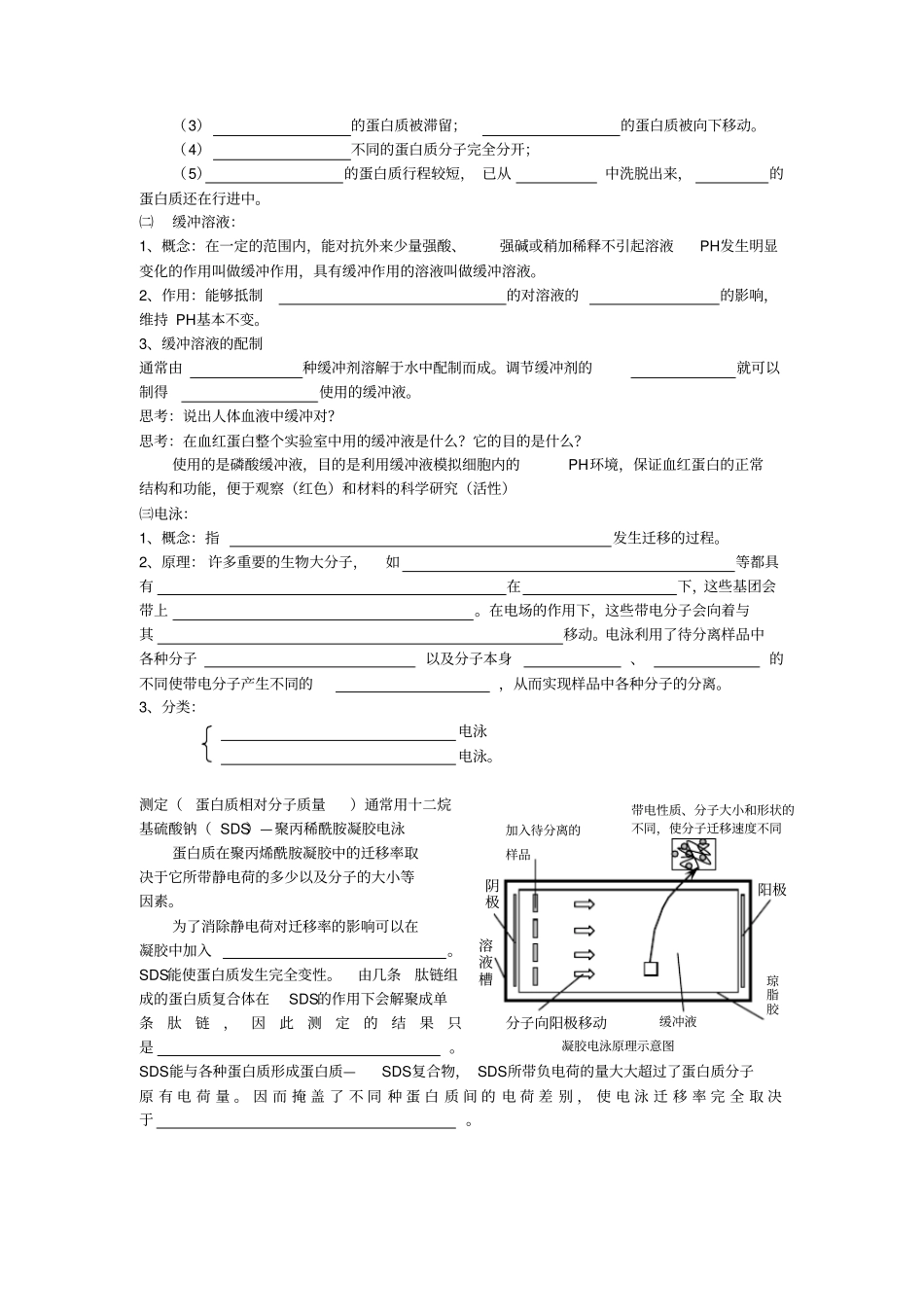 血红蛋白的提取与分离导学案_第2页