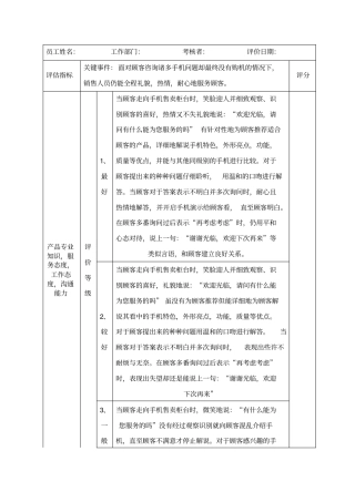 行为锚定量表销售员