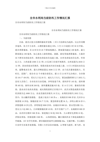 全市水利局当前防汛工作情况汇报